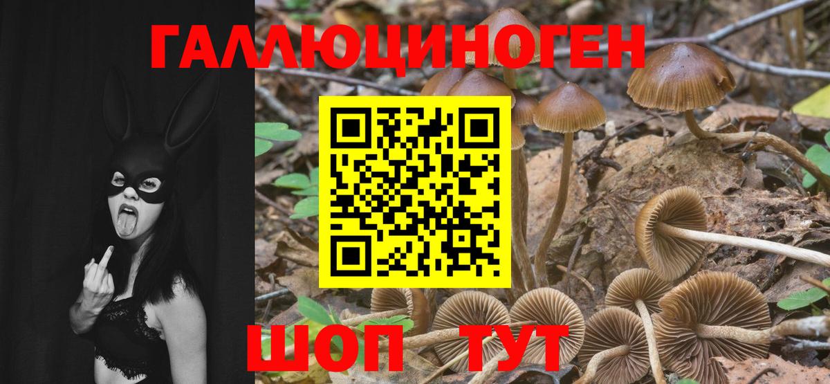Галлюциногенные грибы MAGIC MUSHROOMS  Вход с VPN  Кимовск 