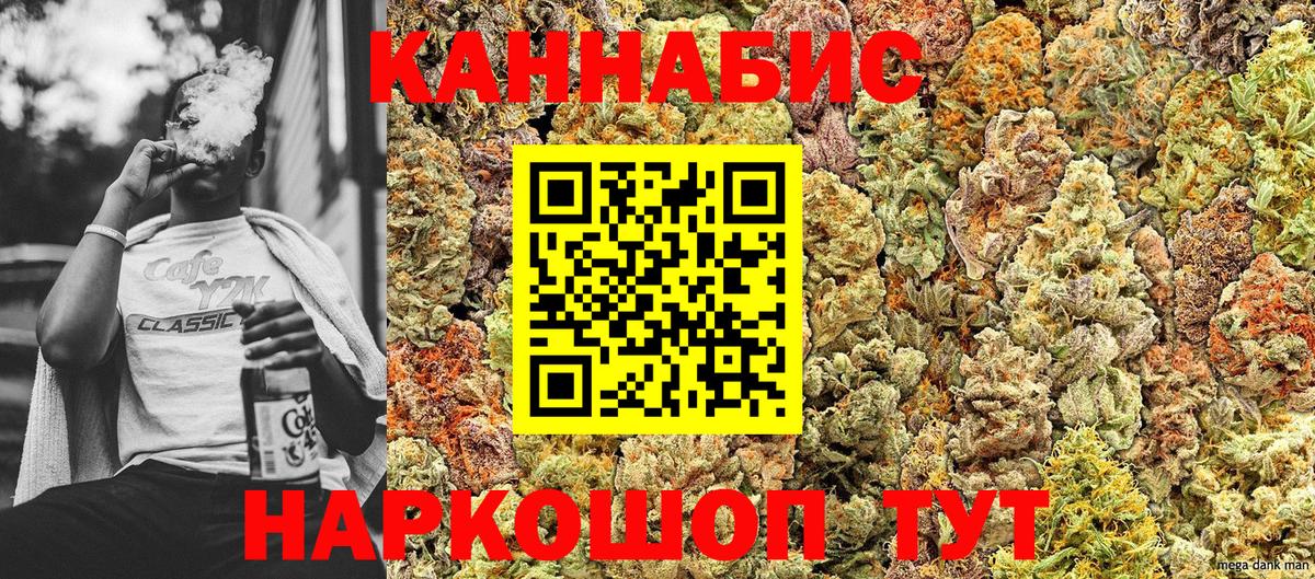 Каннабис OG Kush Кимовск